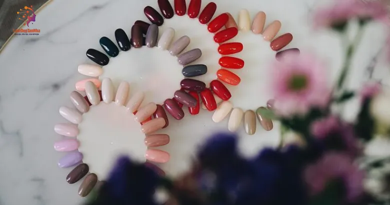 Top màu sắc với họa tiết hot nhất 2025 tận nhà